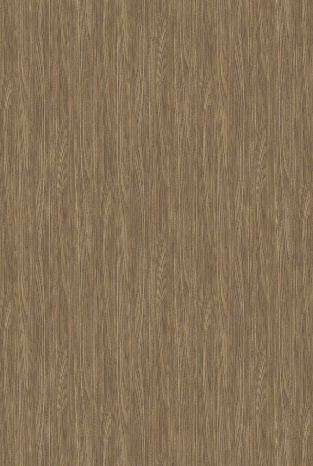 Textura MDF Amendoeira Bold - Arauco - Padrão de Madeira para Marcenaria